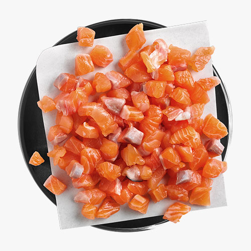 Frischer Lachs Frischer Lachs