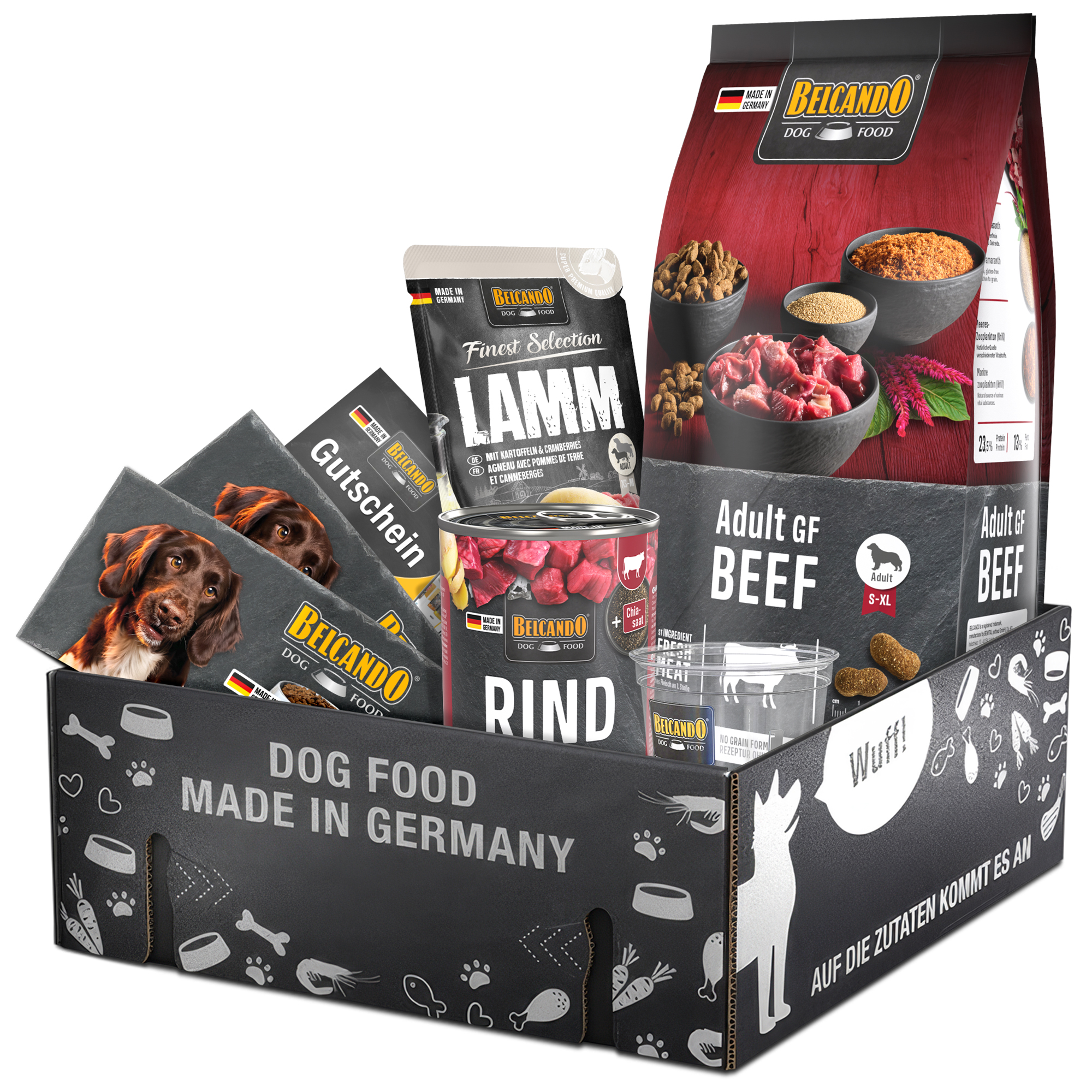 Dog Box BELCANDO Adult GF Beef