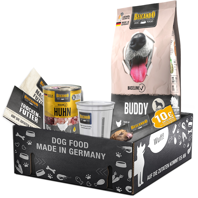 Dog Box BELCANDO Baseline Buddy