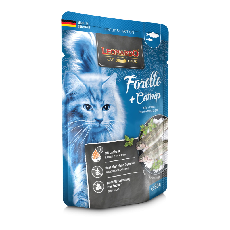 How to serve wet cat food