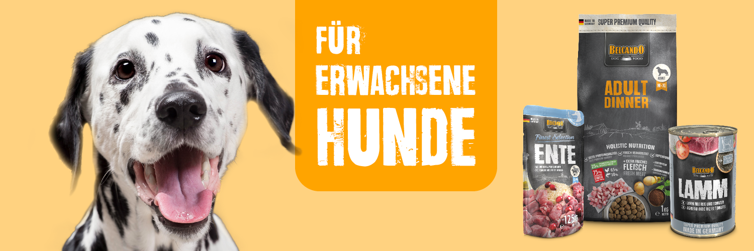 Die BELCANDO® Probierboxen Jetzt testen
