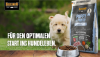 Video Cover BELCANDO Puppy GF Poultry