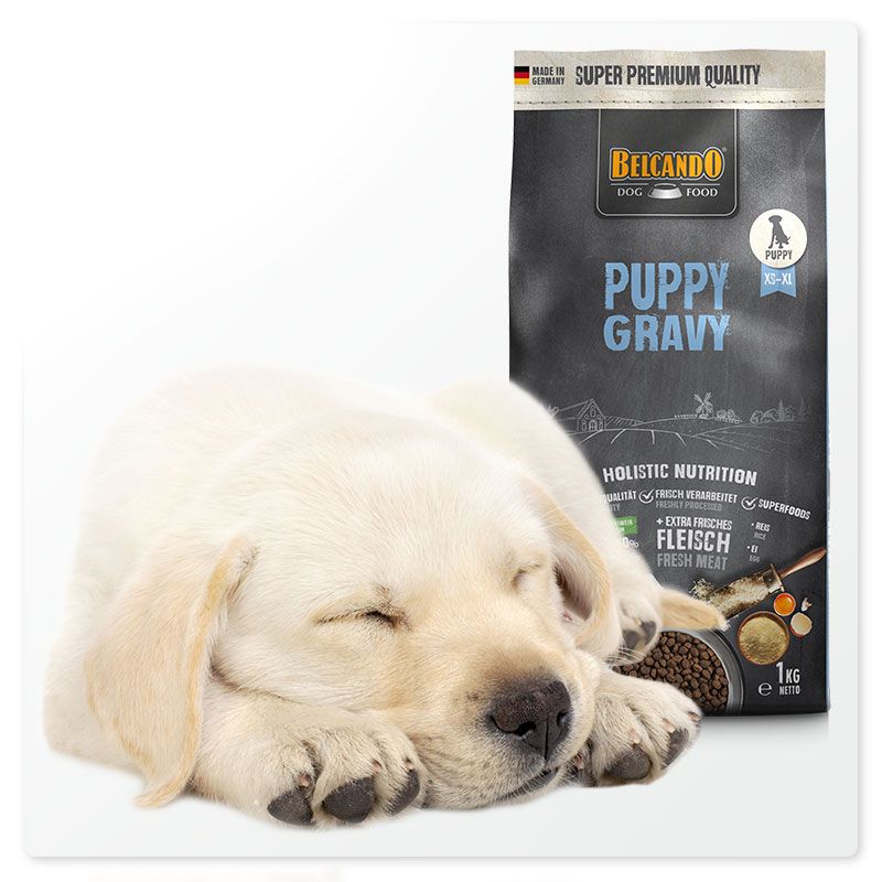BELCANDO® Premium Hundefutter | Auf die Zutaten kommt es an!