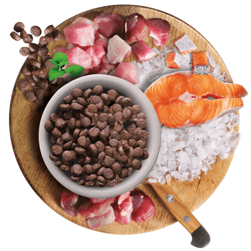 LEONARDO Cat Food GB The ingredients make the difference